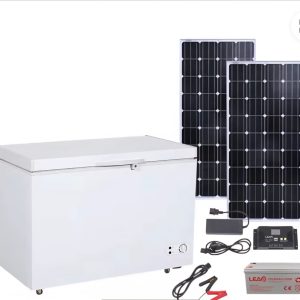 DEFY FREEZER + 1 KVA SOLAR SYSTEM